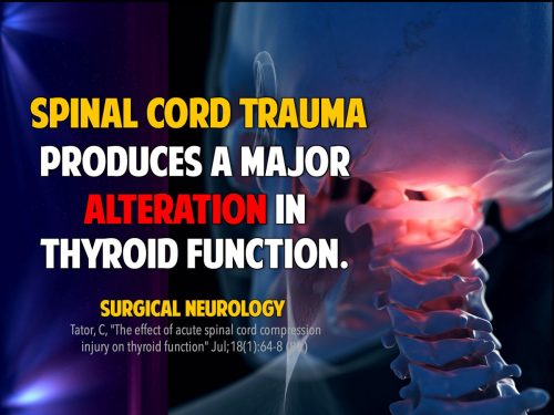 slide8-spinal-cord-trauma